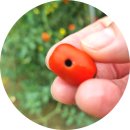 팜프랜드 | 미니텃밭가꾸기는 주말엔팜 3in1키트로 식물영양제와 벌레 퇴치 고민끝!