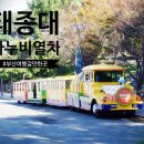 태종대다누비열차