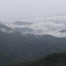 괴목민박 이미지