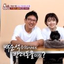 박순석농장 이미지