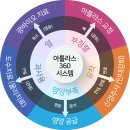손발척척정형외과의원 네이버블로그