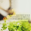 킹콩s