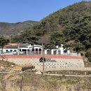 가야산애 | 덕산 도립공원 벚꽃길, 카페 < 가야산애 >