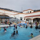 스파비스실외수영장 이미지