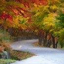 (주)화순컨트리클럽 이미지