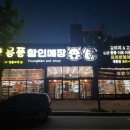 계룡애견 이미지