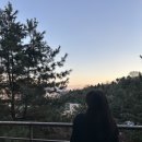 뚜벅이하우스 | 워커힐 더글라스하우스 호캉스 내돈내산 뚜벅이 후기 (티타임/해피아워/조식)