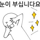 에덴애견훈련소 네이버블로그