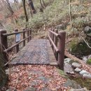 신봉골 Daum카페