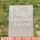 아산 배방 더샵센트로 사전점검 후기 - 조경