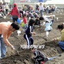 임기만 농장 이미지