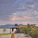 스테이 다래 이미지