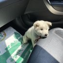 해남동물병원 이미지