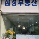 수내공인중개사사무소 네이버블로그