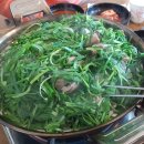 청송흑염소