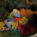 부주산국제클라이밍센터 이미지