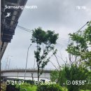 그레이트 복싱짐 이미지