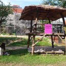 피아노숲 이미지