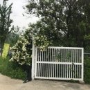 별이네 민박 이미지