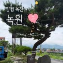 녹원 | [양평] 녹원 카페 솔직 후기｜정원과 한옥이 예쁜 감성 카페