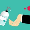 덴탈이유 이미지