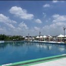 토마토 수영장 이미지