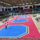 태권도대한체육관 이미지