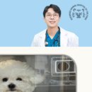 호랑이 동물병원 이미지