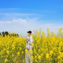 등나무문화공원 | 2025년 되돌아본 국내여행지 베스트10 인생사진 명소 추천