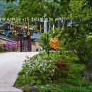 영산각 | [경북여행/상주여행] 남장사 - 오래된 나무가 반겨주는 상주 최고(最古)의 사찰..