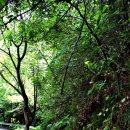 삼탄잔디구장 | 삼탄유원지