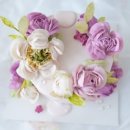 민트파파 이미지