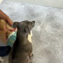 나인독스 이미지