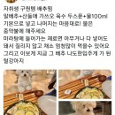 한입주개 이미지