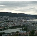 싱싱어시장 이미지