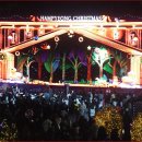 겨울빛축제 연 8만 명 방문하는 가족단위 겨울여행 명소 이미지