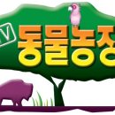 홍진농장 네이버블로그