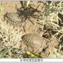 [Sea사브리핑] 4월의 해양수산 어벤져스를 소개합니다