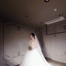 코코나무
