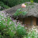 (주)모으리 이미지