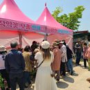 핑크마켓 네이버블로그