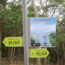 사랑의연리근 이미지