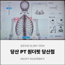 내체력 유도관 | 당산 PT 내 몸뚱아리 포르쉐인데 핸들이 고장났대요... 원더핏 당산점 무료 체형분석 &amp; PT 솔직 후기