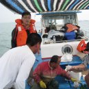 광어한마리 이미지