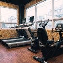 에르마노 피티스튜디오 이미지