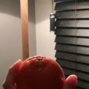 다모리네 이미지