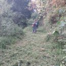 청산면-1 | 🌿 [연천군 청산면 대전리 벌초 작업 후기] 험한 산길 따라 올라간 효심의 현장