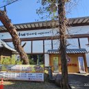 장대들길 이미지