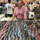 춤으로의 여행 이미지