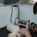 미스터브리더 네이버블로그